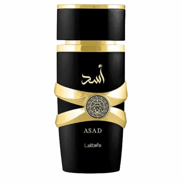 asad lattafa decant perfume shopping
