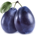 Ameixa em Bouquet Lilas