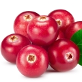 Bagas Vermelhas em Pink Sugar