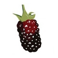 Boysenberry em Black Opium Intense