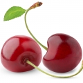 Cereja em Stronger With You Powerfully