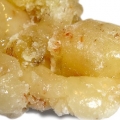 Elemi em Oud Colônia