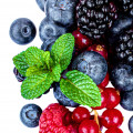 Frutos Silvestres em Poison