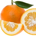 Laranja Amarga em Chocolate Greedy
