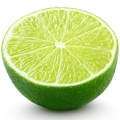 Lima em Verbena Colônia