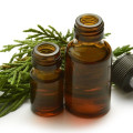 Notas Aromáticas em Club de Nuit Élite
