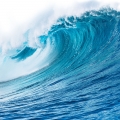 Notas Oceânicas em Acqua di Giò Profondo