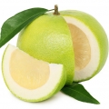 Pomelo em Fervo Intenso