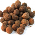 Sementes de Pimenta em Changing Constance