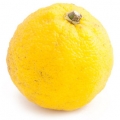 Yuzu em Cheap & Chic